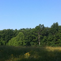 Field at sunrise, Big South Fork - 41